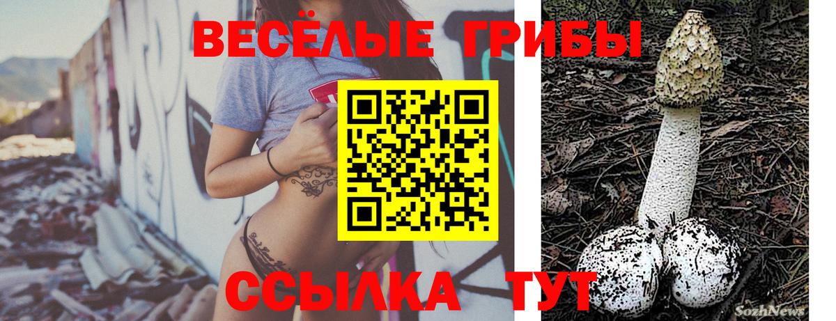 Галлюциногенные грибы MAGIC MUSHROOMS  Вход с VPN  Галлюциногенные грибы Psilocybe  Канск 