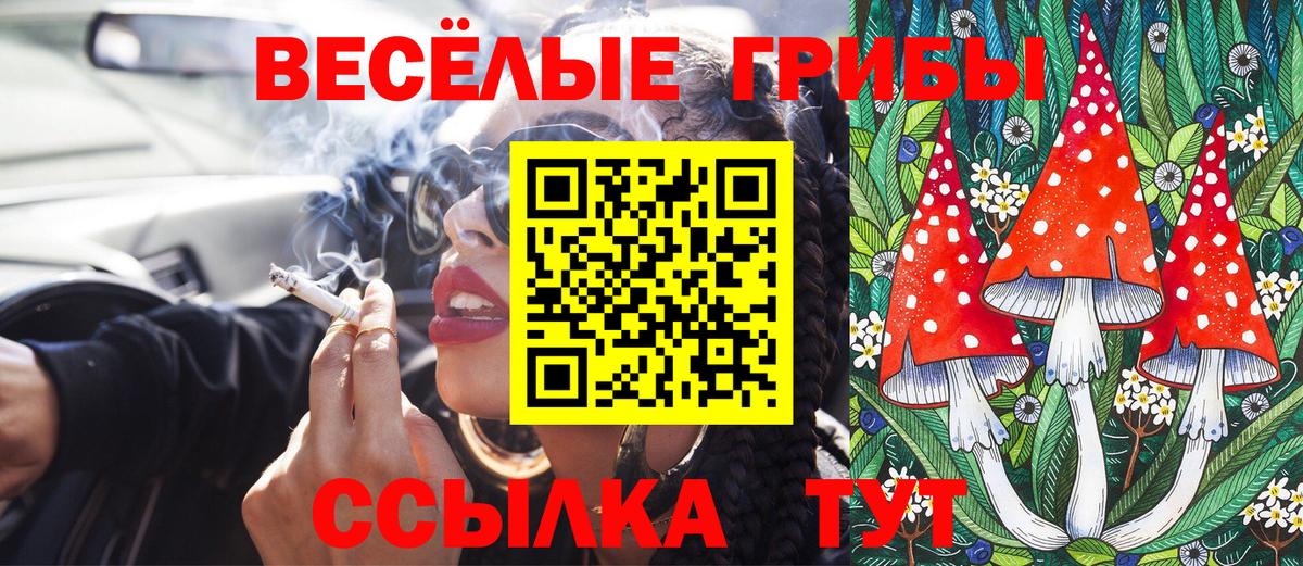 Псилоцибиновые грибы MAGIC MUSHROOMS Канск